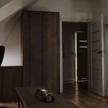 Klimatyczne Mieszkanie W Rynku 아파트