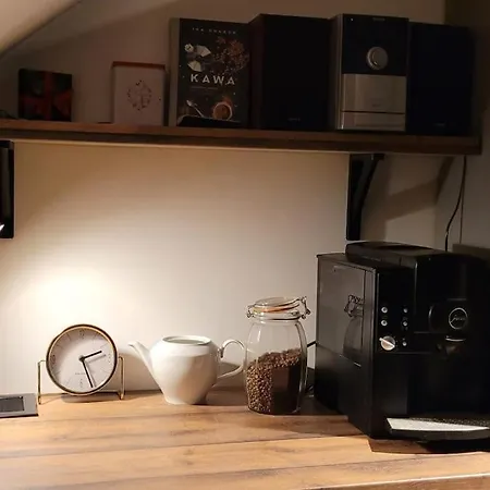 Klimatyczne Mieszkanie W Rynku * فروتسواف